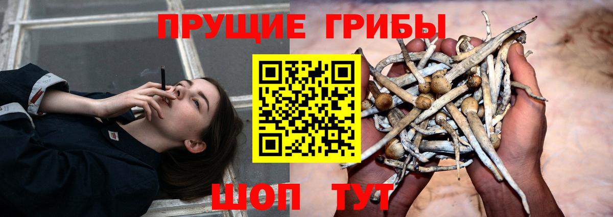 Галлюциногенные грибы мицелий Клинцы